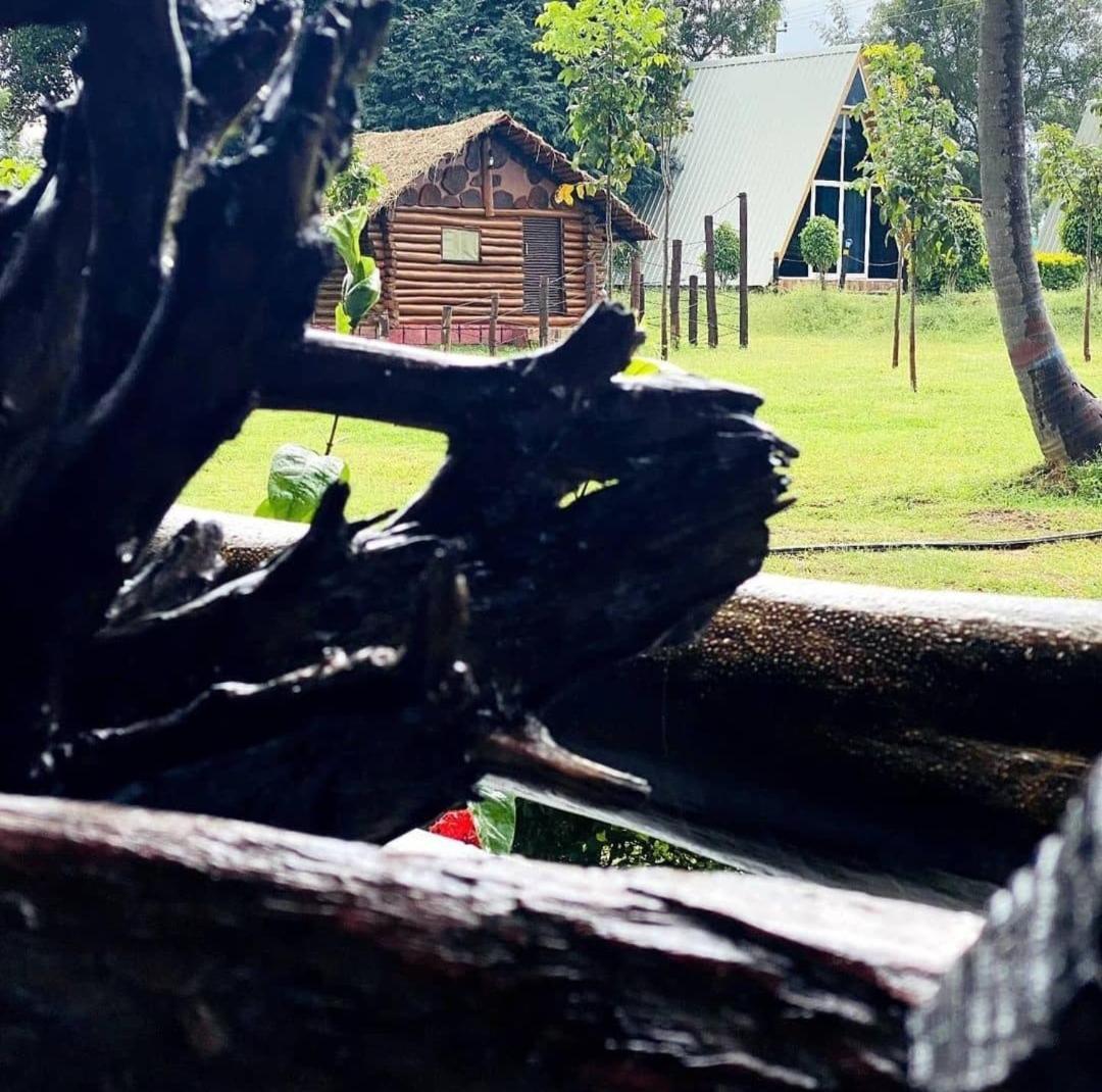 Dejavoo Otel Gādigarpālya Dış mekan fotoğraf